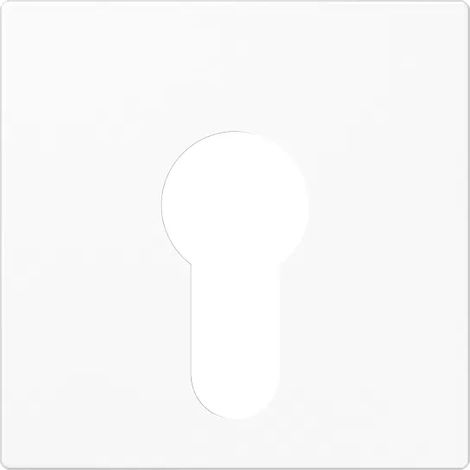 Jung Abdeckung aws für Schlüsselschalt. A 525 PL WW (1/2)