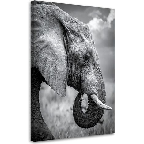 Tabelau sur Toile, Éléphant Afrique savane noir et blanc,20x30 (1/4)