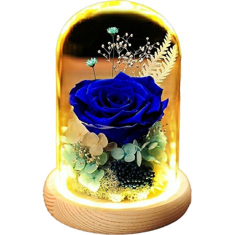 Roses artificielles avec LED, sous dôme en verre sur socle en bois, cadeau pour Noël, St-Valentin, fêtes