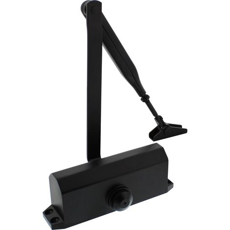 Intersteel Türschließer mit Scherenarm DR122 Schwarz (1/3)