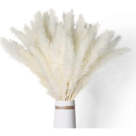 40 roseaux blancs séchés naturels, de 45 cm de long chacun, se balançant doucement, parfaits pour les compositions florales bohèmes à faire soi-même et adaptés aux décorations florales de mariage. (1/5)