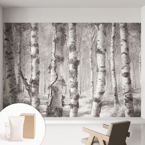 Papier peint intissé avec imprimé installation simple qualité excellente sans désordre - Colle incluse gratuite Forêt de bouleaux 152x104 cm (1/5)