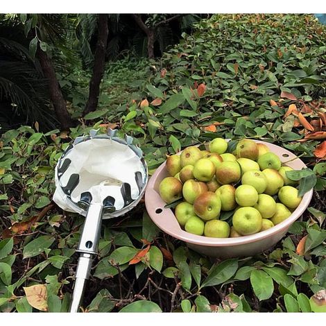 Cueilleurs de Fruits Cueille-Fruits Argent,sans Manche Télescopique en Métal Cueilleurs de Pommes,pour Pommes Poires Orange Outil Pratique Horticole Léger Durable Outils Portatifs de Panier(14cm) GROO (1/4)