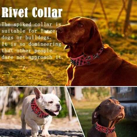 Collare per cani, collare borchiato, collare in pelle con borchie, collare per cani con fibbia di sicurezza, collare per bulldog francese, collare per cani di taglia grande, regolabile (rosso) (1/4)