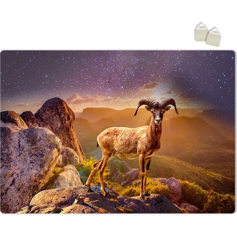 STAMBECCO - POSTER in PVC da 3mm - Misura: 70x100 cm
