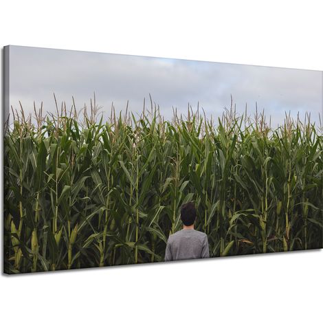 Leinwanddruck Naturmotiv Maisfeld 120x70 cm