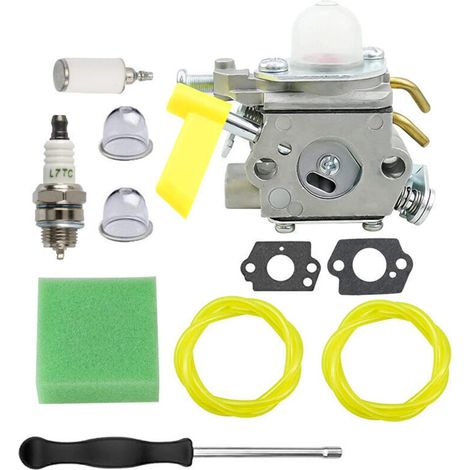 Vergaser 799060 passend für Vergaserteile 84004885 des GENERATOR-Vergasers (1/4)