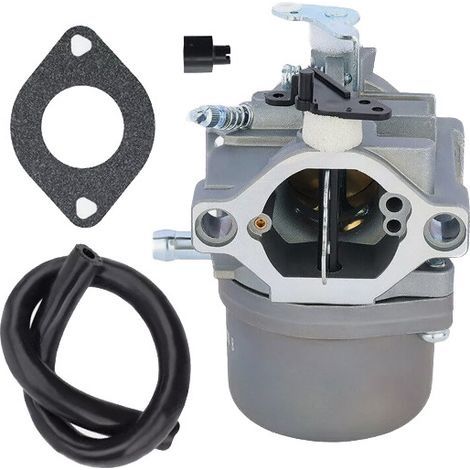 Carburateur pour Briggs & Stratton GO2549 10.5 HPRemplace 794457 0305-4ACompatible avec Moteurs 10.5HP 0305-4AKit de Remplacement pour Tondeuse Autoportée Craftsman LT1000, Troy-Bilt- (1/5)
