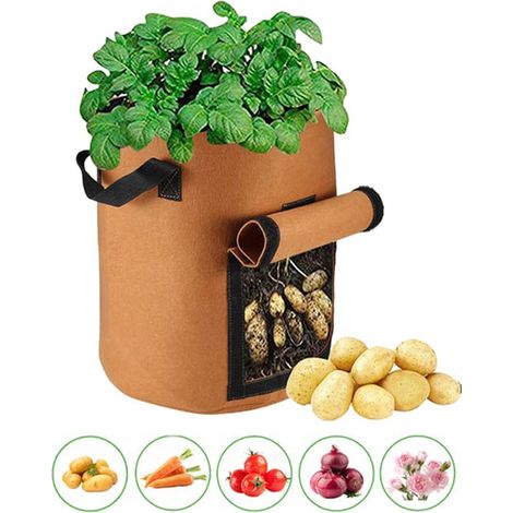 1 Sac de Culture Durable en Non-Tissé pour Pommes de Terre, avec Poignées et Fenêtre de Récolte pour Tomates, Légumes et Fruits (1/5)