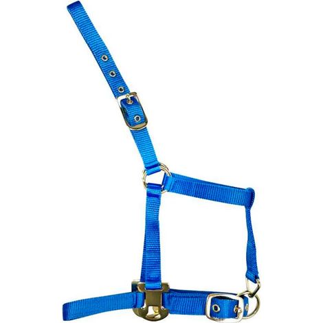 Cabestro joma nylon deluxe halter ajustable azul para potro