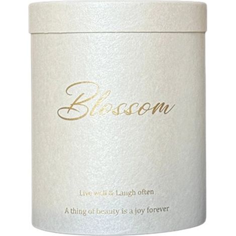 Caja de regalo blanca, elegante jarrón redondo para flores, cubo