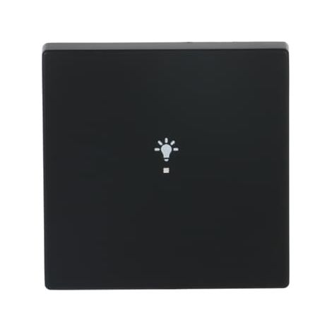 Busch-Jaeger Bilanciere Simbolo "Luce" 1-fach nero opaco - Piattaforma 63 (6231-10-885), 2CKA006220A0499