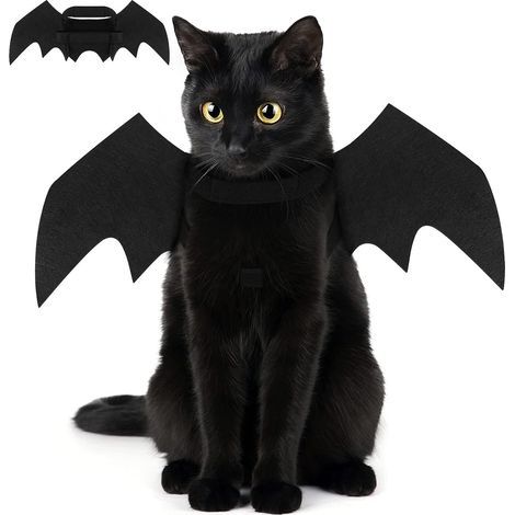 Déguisement d'Halloween de chauve-souris pour chien ou chat, avec ailes noires attachables (1/5)