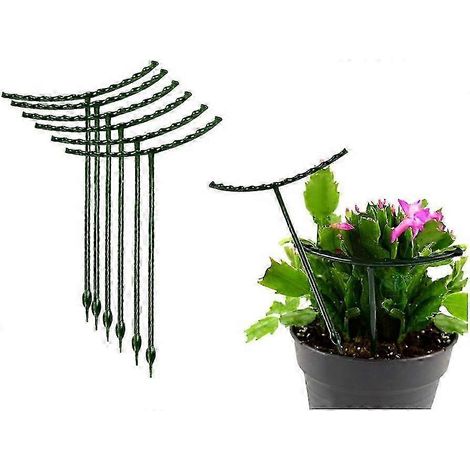 Lot de 8 supports pour petites plantes, anneaux de support verts pour fleurs de jardin, anneaux de support pour pots de fleurs pour Schlumbergera, Clivia, plantes grasses, 5,12 cm (1/5)