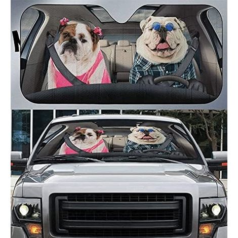 Lunar Star Pare-soleil pour pare-brise de voiture pliable garder