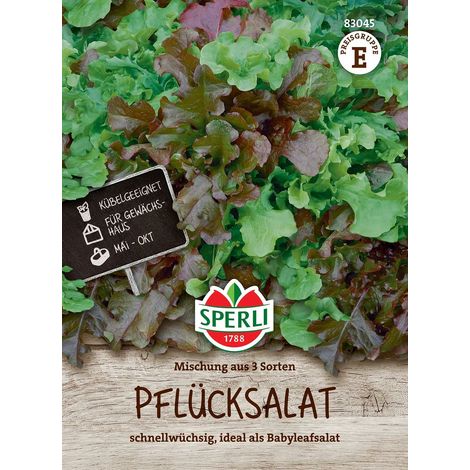 Sperli Pflücksalat Mischung aus 3 Sorten - Gemüsesamen (1/2)