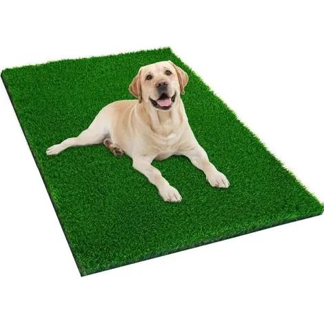 Tapis anti-urine pour chien vert 40x60cm, 1 tapis en gazon synthétique pour une utilisation intérieure et extérieure, paillasson facile à nettoyer (1/3)