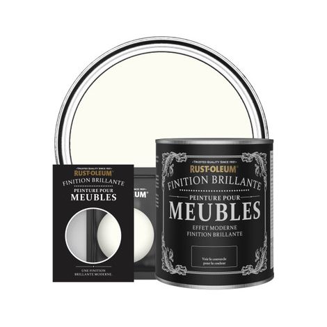 Peinture pour Meubles Brillante - Porcelaine (1/2)
