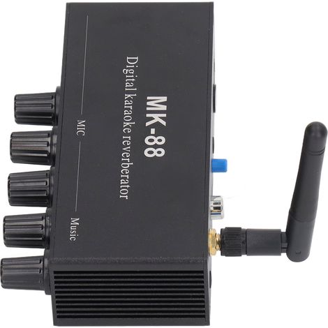 Digitaler Echoverstärker mit Stereofunktion, Bluetooth 5.0, zwei Mikrofoneingängen, 12 V DC (1/5)