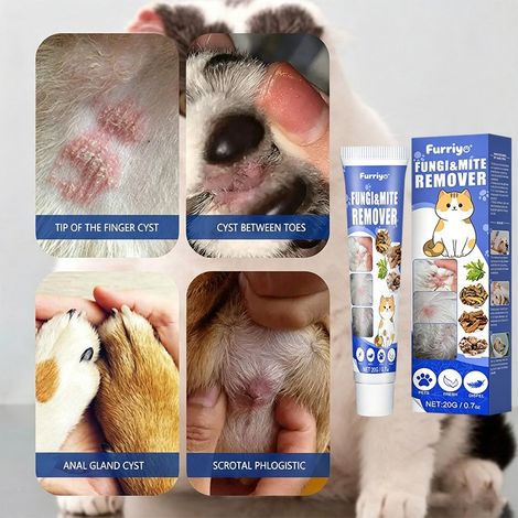 Cette crème anti-acariens apaise et protège en douceur la peau des chats et des chiens, soulageant ainsi leur inconfort. Soin pour animaux – Crème anti-acariens. (1/4)