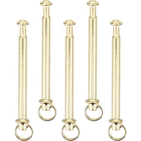 Kit de Réparation Rivets et Écrous en Acier Inoxydable Doré pour Éventail Pliant 5 Sets pour Entretien et Démontage Simple (1/5)