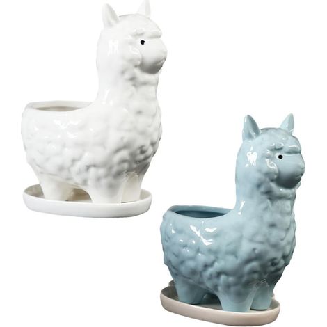 2 pièces Pot de Fleurs Céramique avec Plateau Jardinière Décorative Intérieure et Bureau pour Plantes et Bonsaï Blanc et Bleu (1/5)