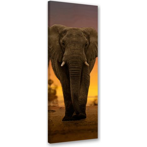 Tableau sur toile Éléphant dans le désert 30x90 (1/5)
