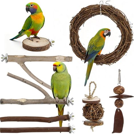 Perchoir en Bois Naturel 8 Pièces Perchoir Perroquet en Bois (1/5)