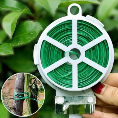 Plantes grimpantes en filet, culture en gerbes, semis et récolte de pois, cu