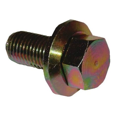 Vite M10x25 FGP453030 UNIVERSALE FGP453030