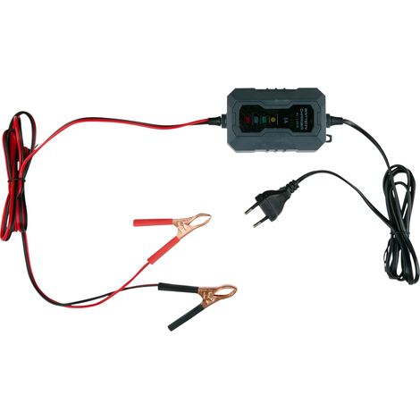Chargeur d'entretien DUNLOP, 6/12V, 230V