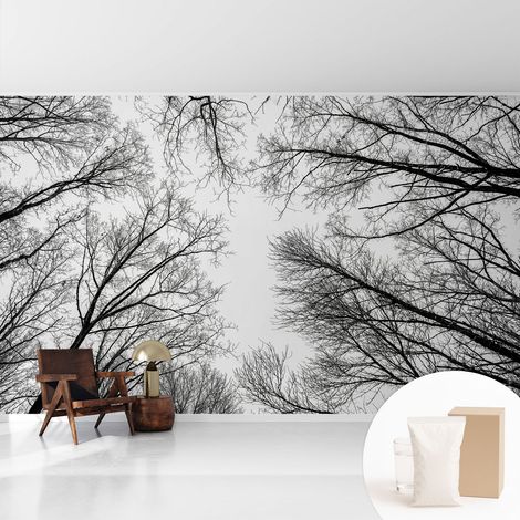 Papier peint intissé décoratif avec motifs pour salon et chambre a motif - Colle incluse gratuite Branches nues 416x254 cm (1/5)