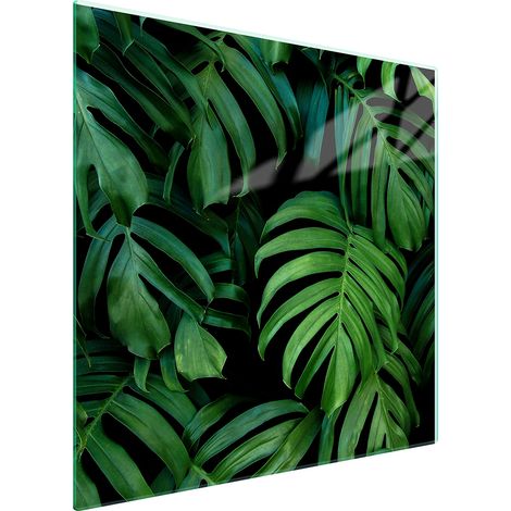 PIASTRA PROTETTIVA IN VETRO PER STUFA 50x52 MONSTERA (1/5)