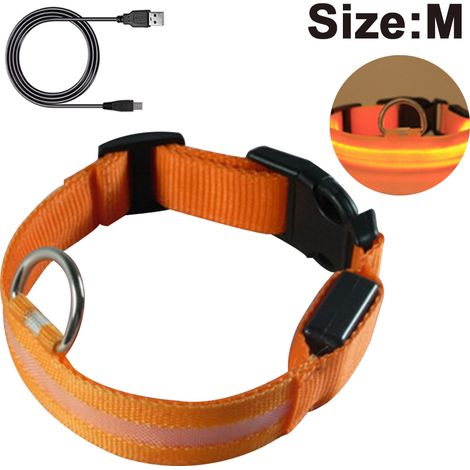Collier lumineux LED pour chien, rechargeable et à longueur ajustable, collier de sécurité étanche pour chiens et chats (1/4)