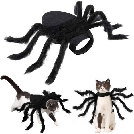 Déguisements d'Halloween pour chiens et chats, costumes d'araignées pour le carnaval d'Halloween. Taille S (1/4)