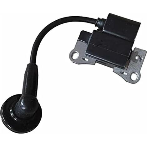 Bobine d'Allumage Haute Tension, Pièce de Moteur Compatible avec 1E34F-2E 1E34F-2E.3 TLE26 CG260 BC260 (1/5)