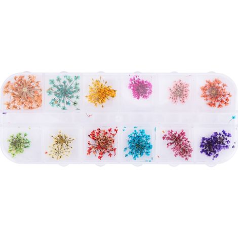12 Teintes Fleurs Séchées Naturelles pour Nail Art Gel UV Acrylique, Kit Décor DIY à Emporter (1/5)