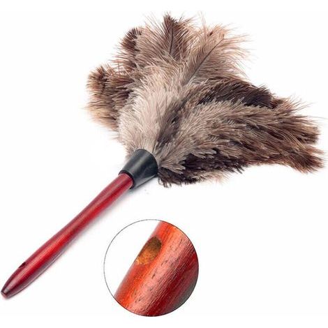 Plumeau en plumes d'autruche Duster Wood Dust Brush Dust Feather