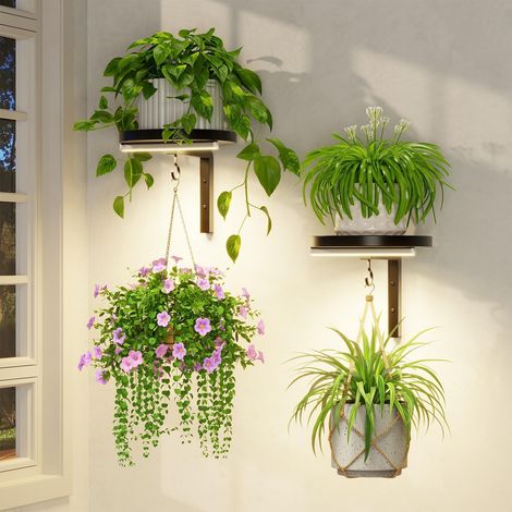 Lot de 2 supports muraux pour plantes d'intérieur avec lampes de croissance, supports de fenêtre en métal, présentoir à fleurs flottant moderne avec 2 crochets pour décoration extérieure (1/5)