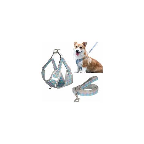 Harnais gilet réglable réfléchissant pour chien et chat, taille XS –