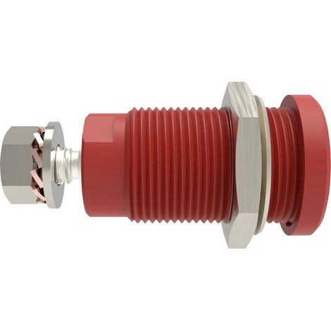 Schützinger DI SEB 9424 Ni / RT Presa integrata di sicurezza dritto Rosso 1 pz.