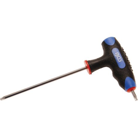 Destornillador con empuñadura en T y cuchilla lateral  perfil en T (para Torx) T20 (1/3)