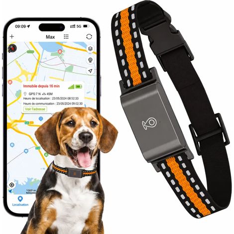 Collier traceur GPS 4G pour animaux avec abonnement