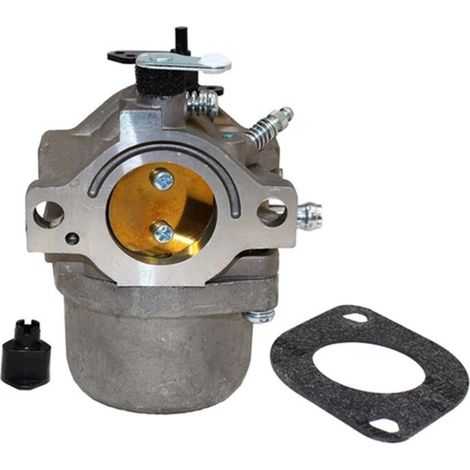 Carburateur pour tondeuses Briggs Stratton 799728 286707 288702