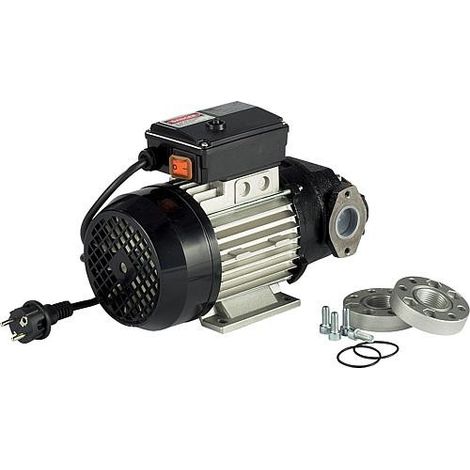 Pompe rotative autoamorcante Type E 120 T, 400V/50Hz,750 Watt 100l/min max. BG