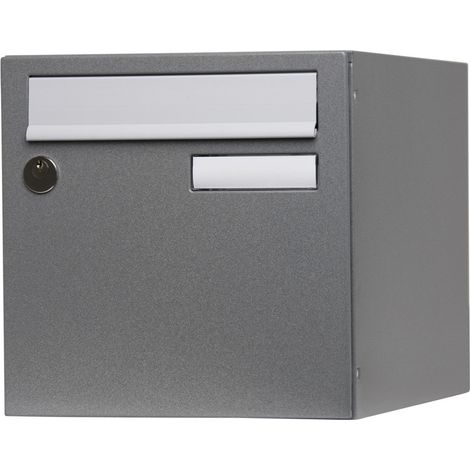 Cassetta postale standardizzata 1 porta esterna RENZ acciaio grigio lucido RENZ