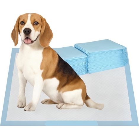 Packung mit 80 Hundetrainingspads, 6-lagig, 60 x 60 cm, blau und weiß
