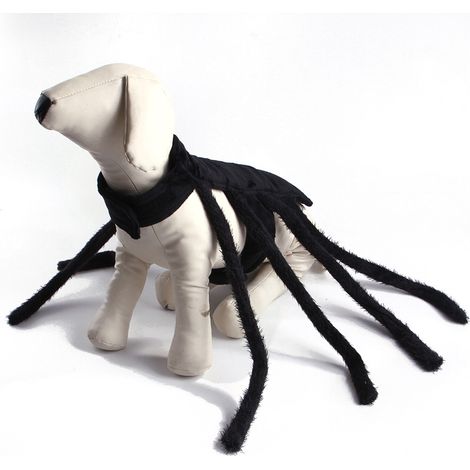 2 déguisements d'Halloween pour chiens et chats, tenue d'araignée en peluche, S et M, pour animaux de compagnie (1/5)