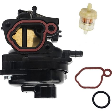 Vergaser-Vergaser-Kit für Briggs Stratton 799584 (1/5)
