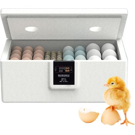 Incubateurs d'œufs pour Poules Affichage de température à Faible Conteneur d'incubateur pour œufs de caille Incubation de volailles : poulets, oies, cailles, (1/5)